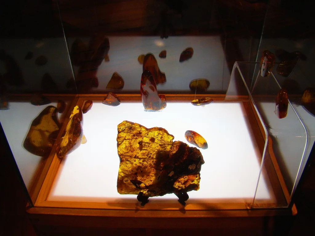 Museo del Ámbar de Chiapas
