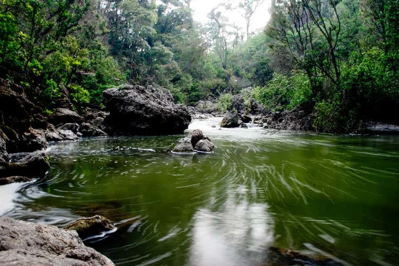 Lacanjá River rafting — photo 3